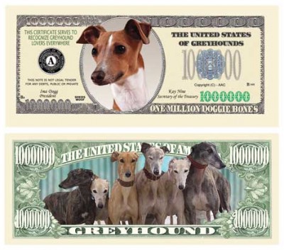Dog_Greyhound